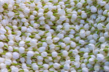 Yasemin çiçeği için çelenk yapmak