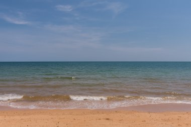 plaj ve tropikal deniz