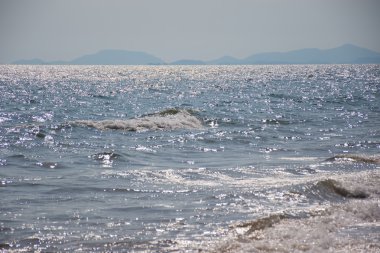 plaj ve tropikal deniz