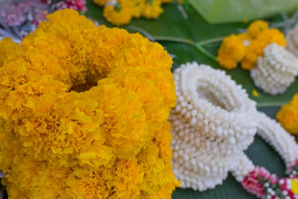 Garland flor de jazmín — Foto de Stock