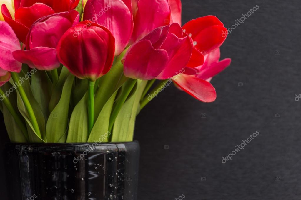 黒のチューリップの花 ストック写真 C Pongmoji