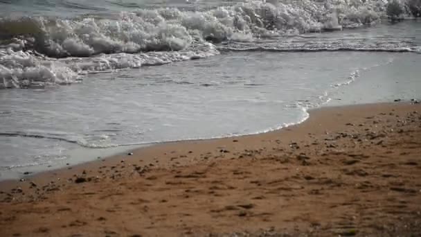 Пляж и тропическое море — стоковое видео