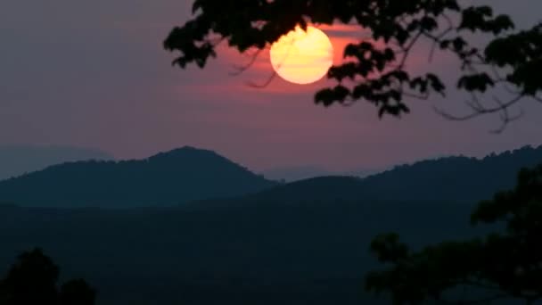 在晚上的时间在游戏中时光倒流橡胶树种植园的夕阳的天空 — 图库视频影像