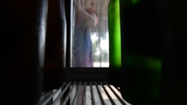 Bir buzdolabı bira alarak Asya kadın