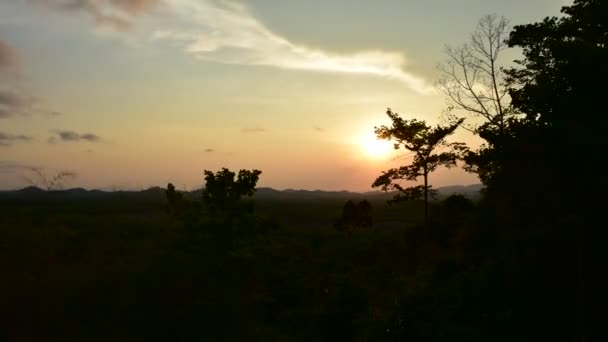 Napnyugtakor ég az esti órákban, a gumifa ültetvény: Khao Chamao Rayong, Timelapse fa sziluettje — Stock videók