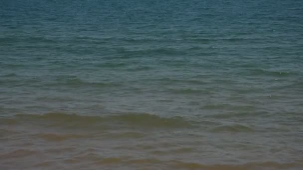 plage et mer tropicale