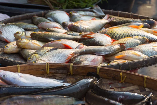 Pescado fresco de agua dulce en el mercado — Foto de Stock