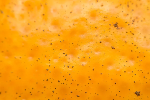 オレンジの皮のテクスチャー サーフェスのマクロ — ストック写真