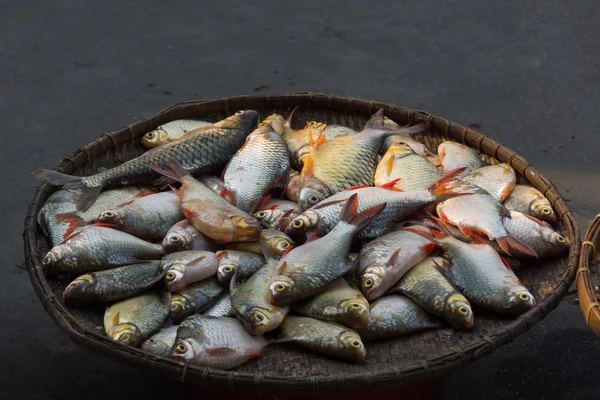 市場で新鮮な川魚 — ストック写真