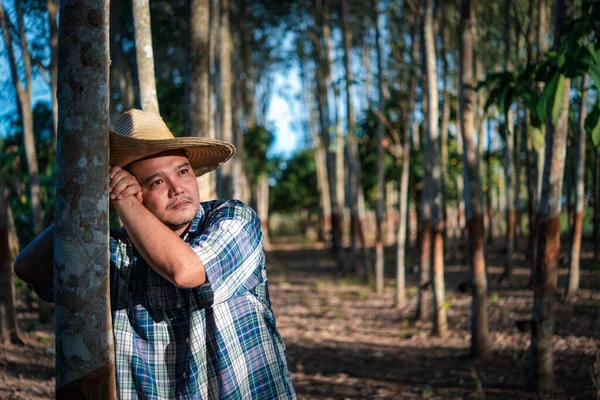 Hombre Asiático Agricultor Agricultor Infeliz Productividad Bajo Rendimiento Plantación Árboles — Foto de Stock