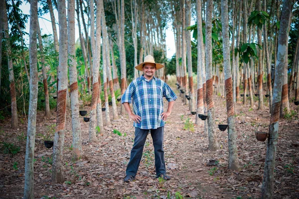 Hombre Asiático Agricultor Agricultor Feliz Una Plantación Árboles Caucho Con — Foto de Stock