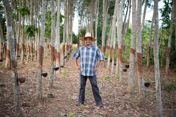 Hombre Asiático Agricultor Agricultor Feliz Una Plantación Árboles Caucho Con — Foto de Stock