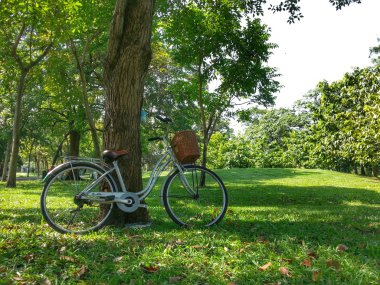 Bisiklet Park H.D.R.