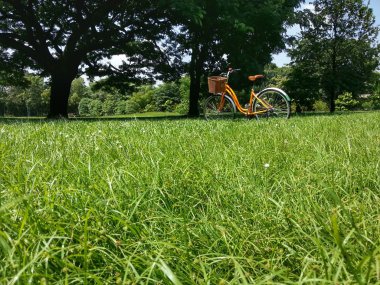 Bisiklet Park H.D.R.