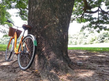 Bisiklet Park H.D.R.