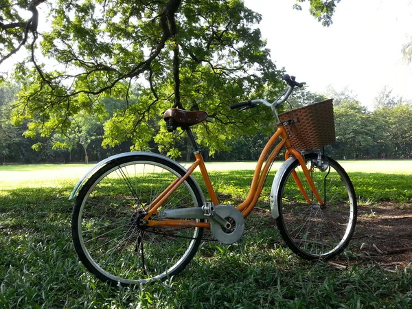 Bicicleta no parque — Fotografia de Stock