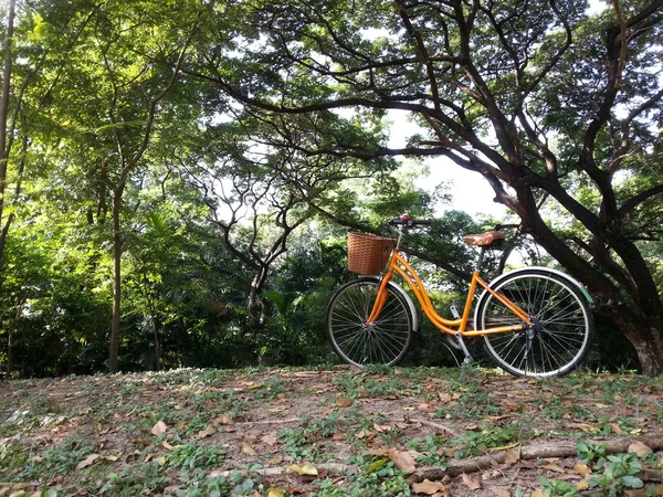 Rowerów w parku — Zdjęcie stockowe
