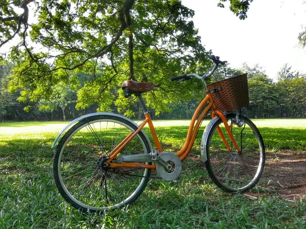 Bicicleta no parque — Fotografia de Stock