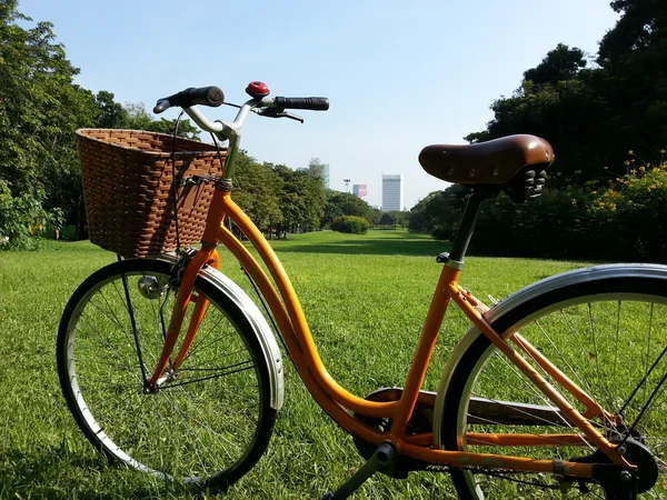 Cykel i park — Stockfoto