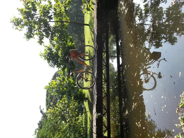 Bicicleta en el parque —  Fotos de Stock