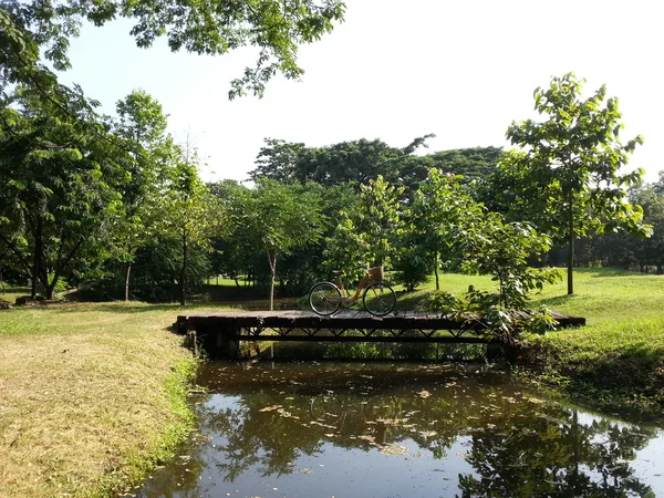 Fahrrad im Park — Stockfoto