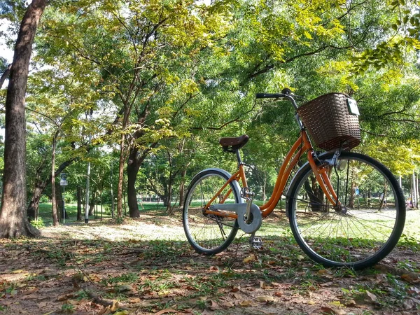 公園で自転車 — ストック写真