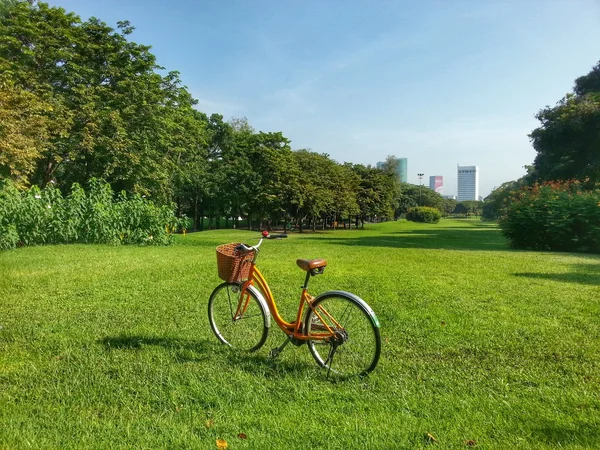 Велосипед в парке — стоковое фото