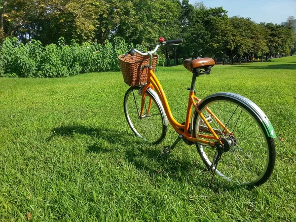 Bicicleta no parque — Fotografia de Stock