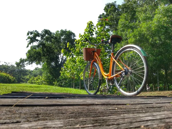 Cykel i park — Stockfoto