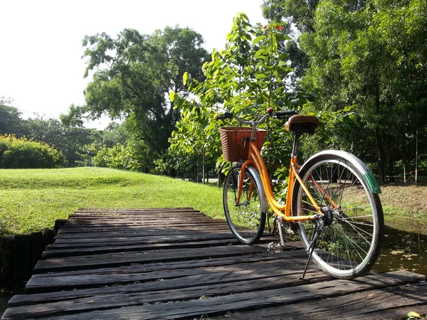 Велосипеді в парку — стокове фото