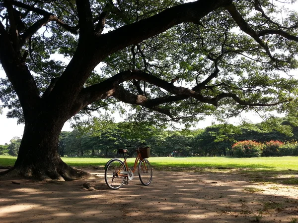 Fahrrad im Park — Stockfoto