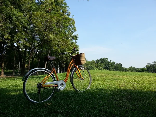 Cykel i park — Stockfoto