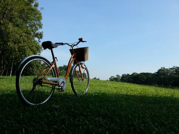 Cykel i park — Stockfoto