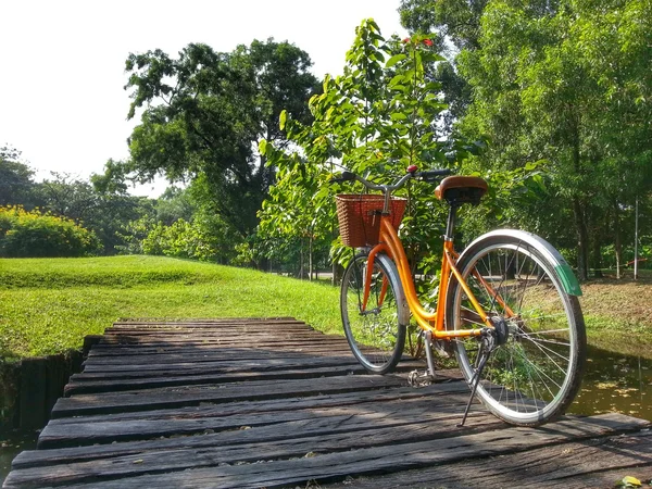 Cykel i parken (Hdr) — Stockfoto
