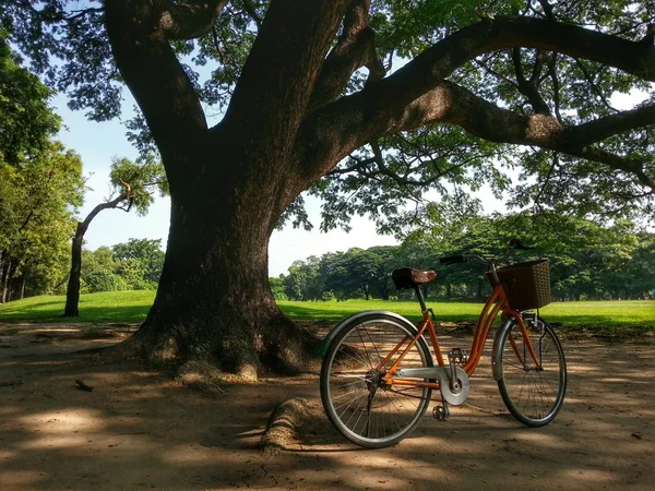 公園 (Hdr で自転車) — ストック写真