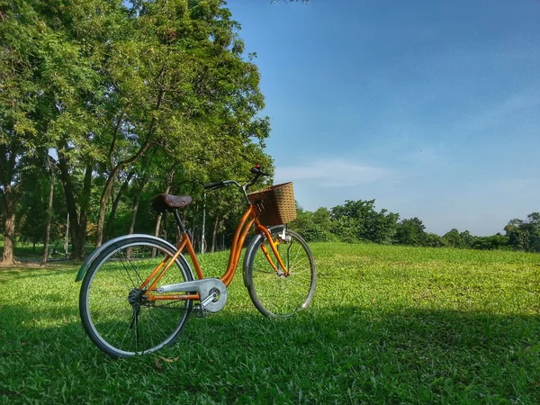 Cykel i parken (Hdr) — Stockfoto