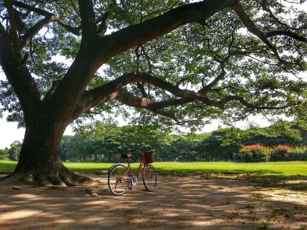 Bicicleta en el parque (HDR ) —  Fotos de Stock