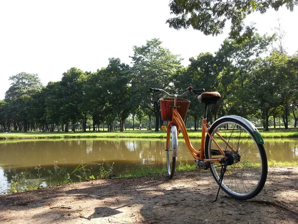 Vélo dans le parc — Photo