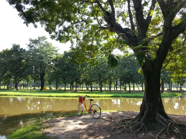 Fahrrad im Park h.d.r. — Stockfoto