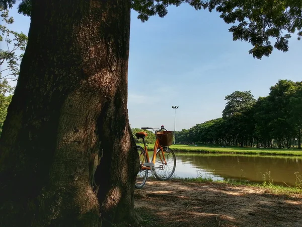 Bicicleta no parque H.D.R . — Fotografia de Stock