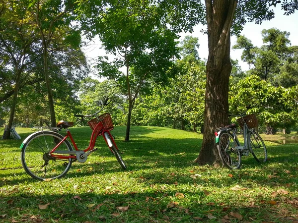 Велосипед в парке H.D.R . — стоковое фото