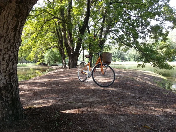 Ποδήλατο στο πάρκο — Φωτογραφία Αρχείου