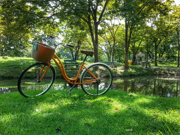 Bicicleta no parque H.D.R . — Fotografia de Stock