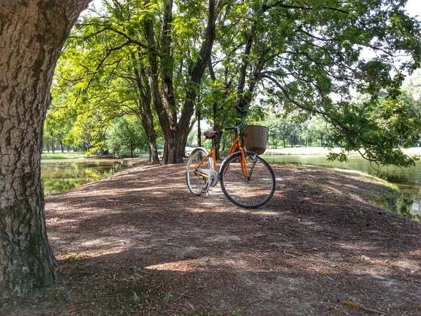 Fahrrad im Park h.d.r. — Stockfoto