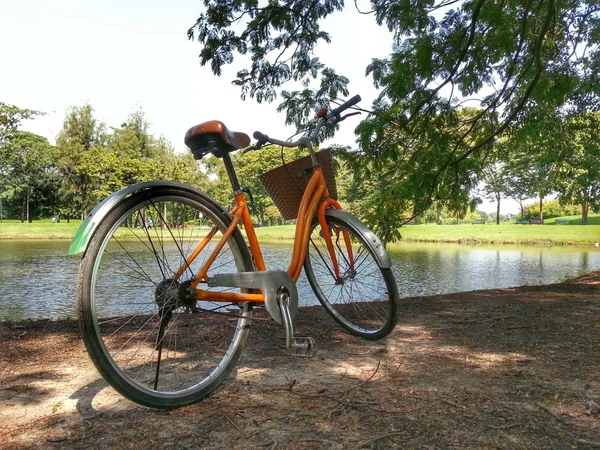 Vélo dans le parc H.D.R . — Photo