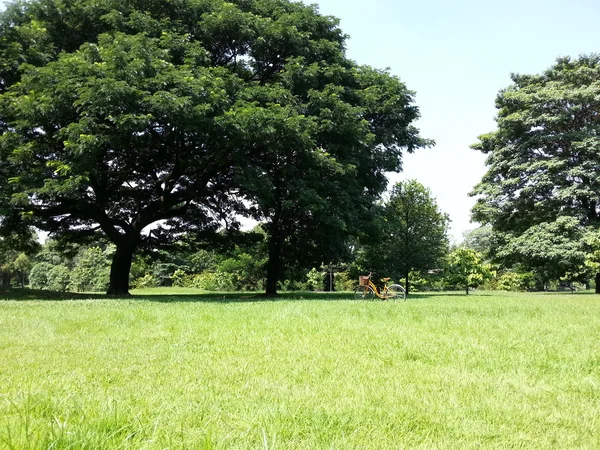 公園で自転車 — ストック写真