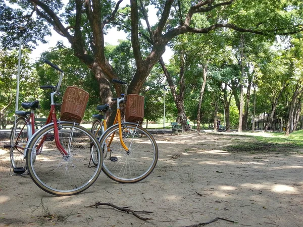 Fahrrad im Park h.d.r. — Stockfoto