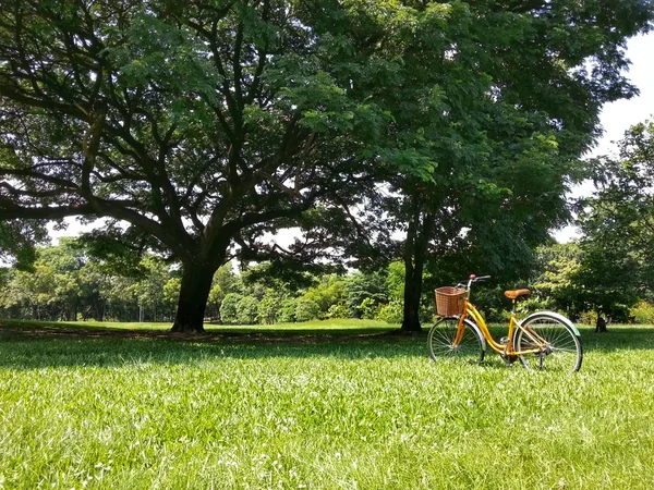 Fahrrad im Park h.d.r. — Stockfoto