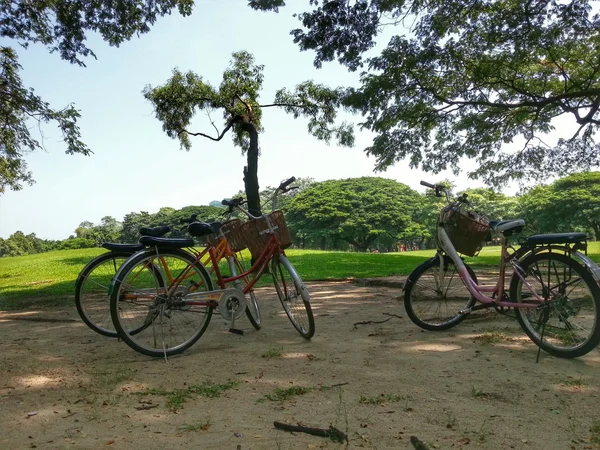 Bicicletta in parco H.D.R. . — Foto Stock