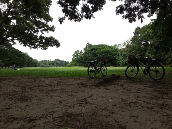 Cykel i park — Stockfoto